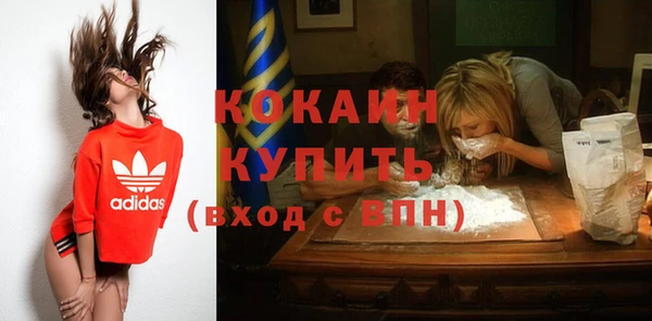 индика Богородск