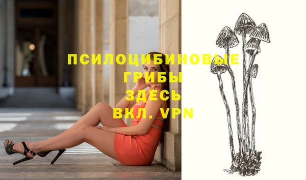 Альфа ПВП Богданович