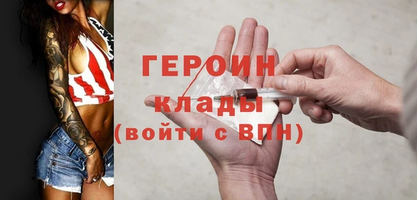 индика Богородск