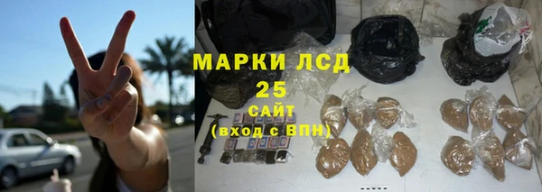 индика Богородск