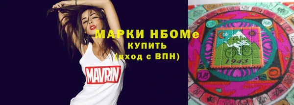 индика Богородск