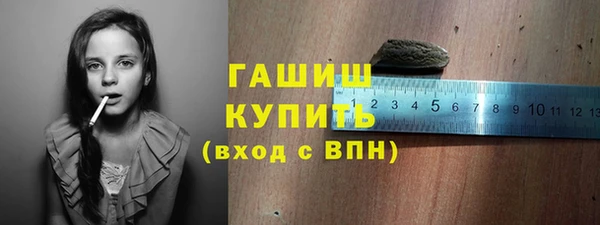 индика Богородск