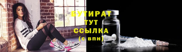 индика Богородск