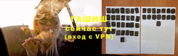 индика Богородск