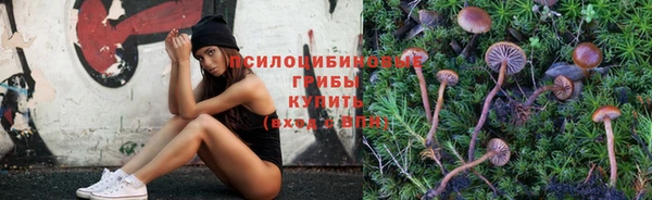 Альфа ПВП Богданович