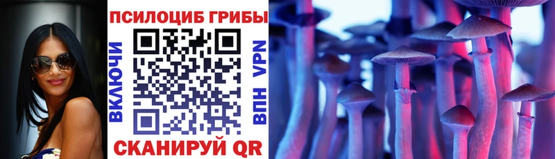 Псилоцибиновые грибы Cubensis  Ижевск 
